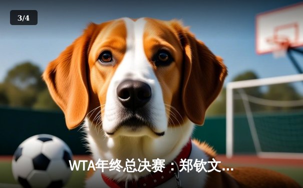 WTA年终总决赛：郑钦文力克萨巴伦卡，首夺单打冠军 - 3